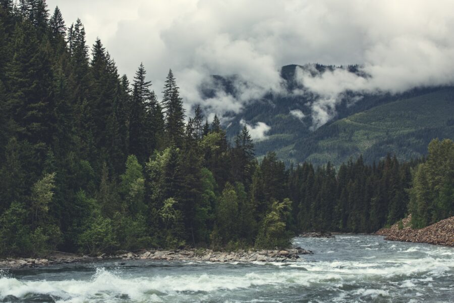 View of a forest, mountains, a flowing river, surrounded by fog, in BC