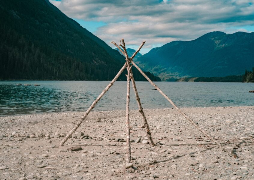 Pieces of wood standing on the sand of a beach in Strathcona Park, British Columbia